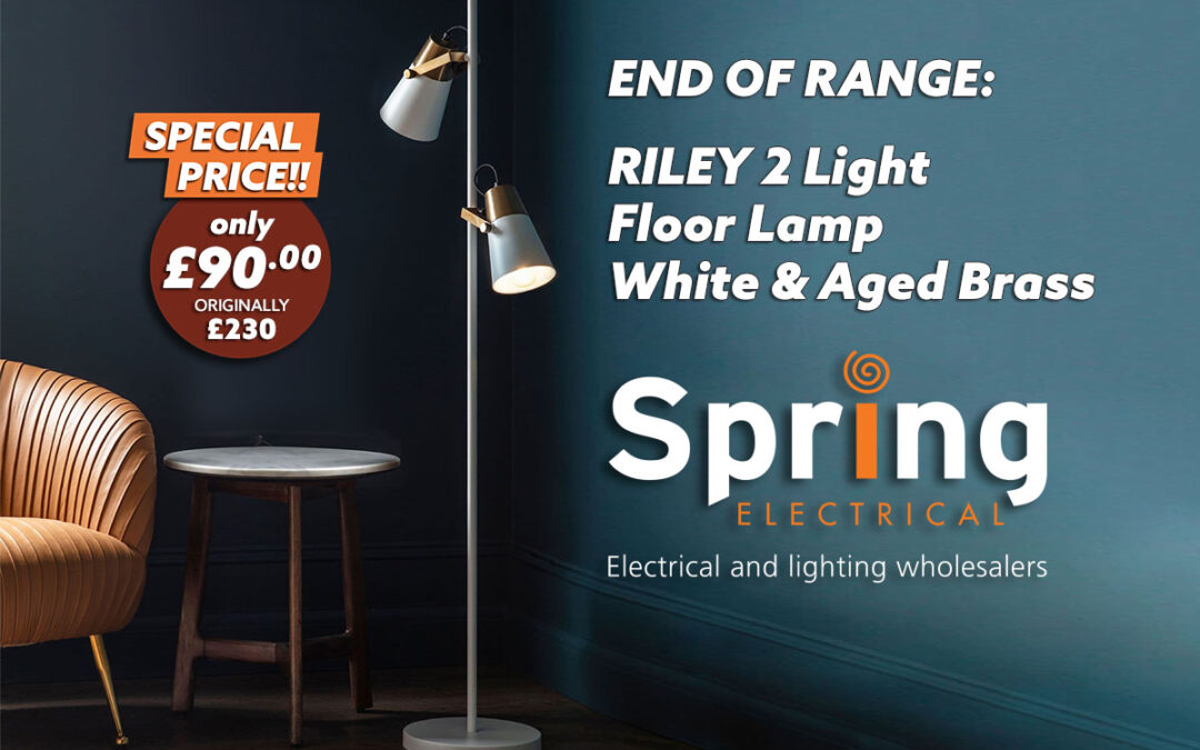 SP-RILEY Floor Lamp Offer